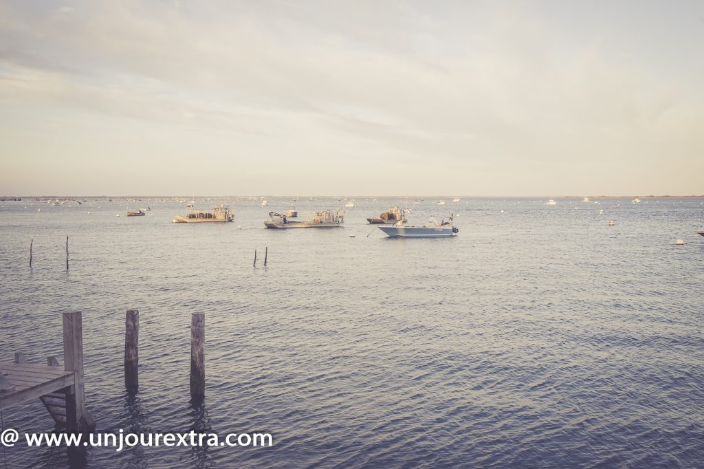 save the date bordeaux